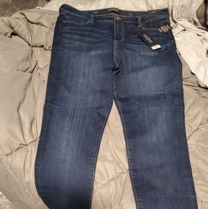 Liverpool Skinny Jeans